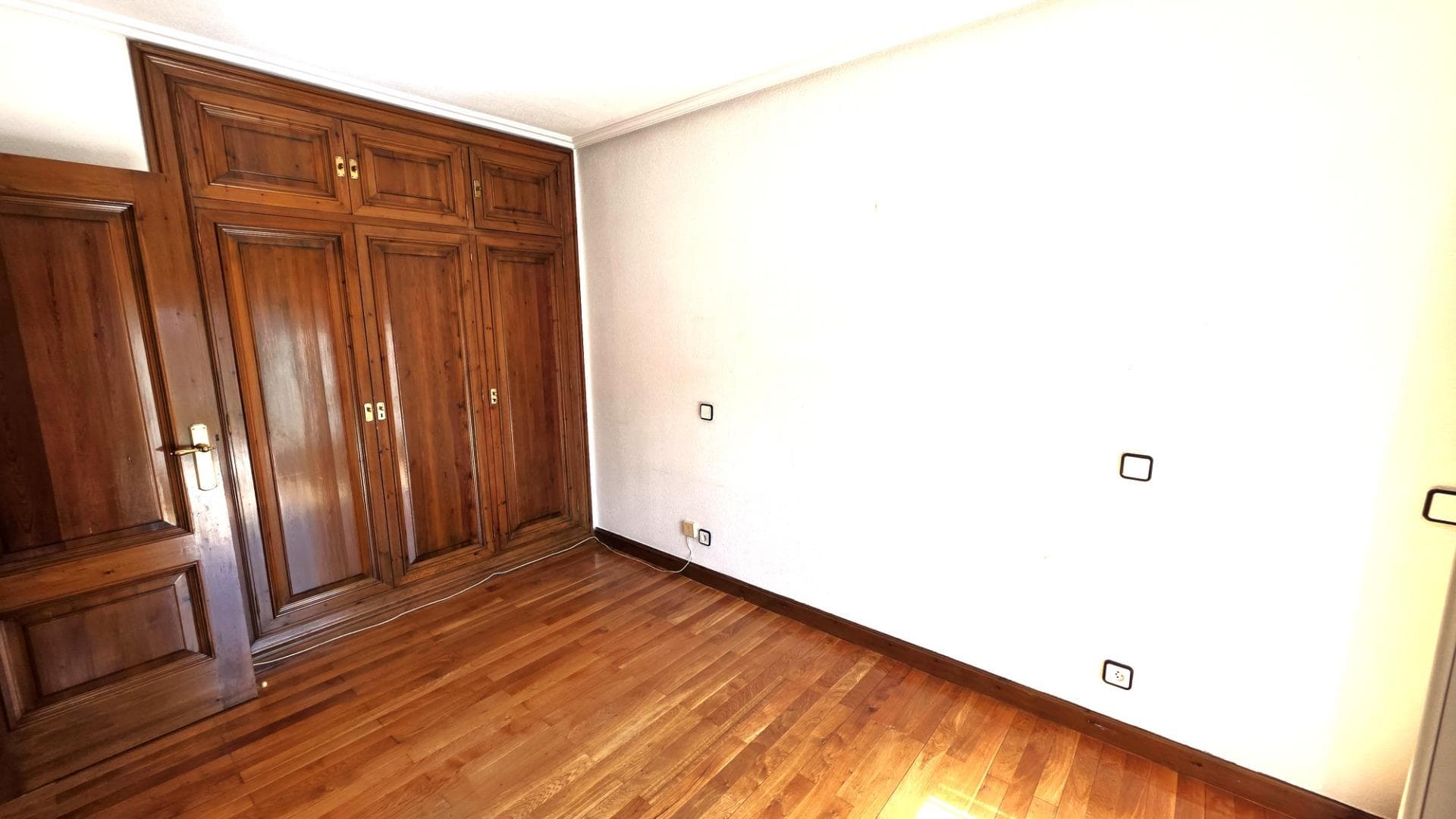 Imagen 20